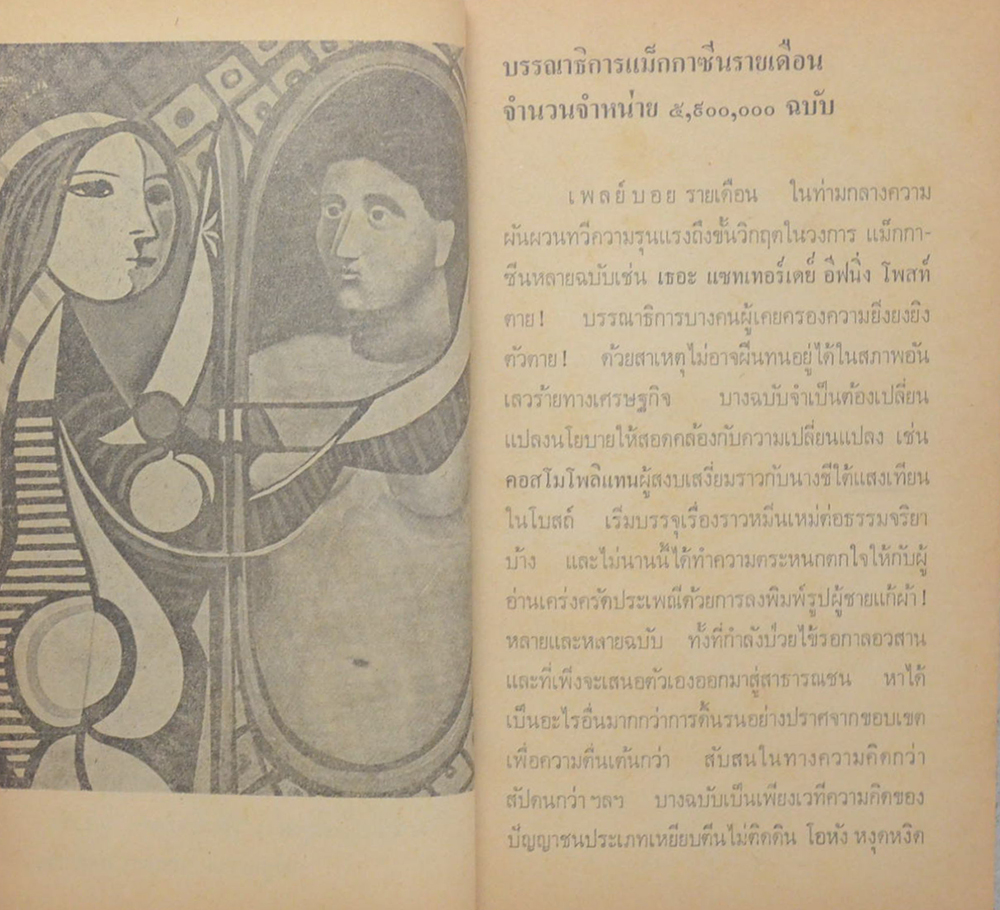 บันทึกเผยใจนางกระต่าย PLAYBOY (เล่มเล็ก)