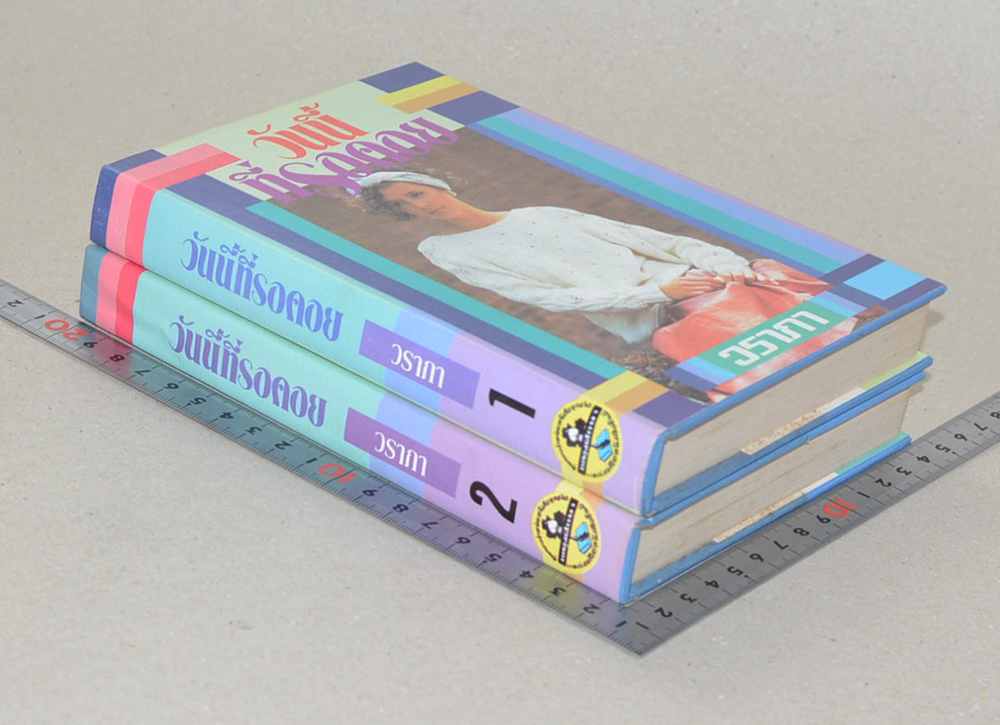 วันนี้ที่รอคอย (2 เล่มจบ)