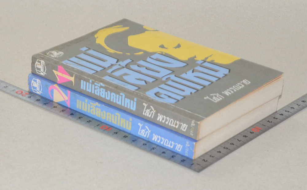 แม่เลี้ยงคนใหม่ (2 เล่มจบ)