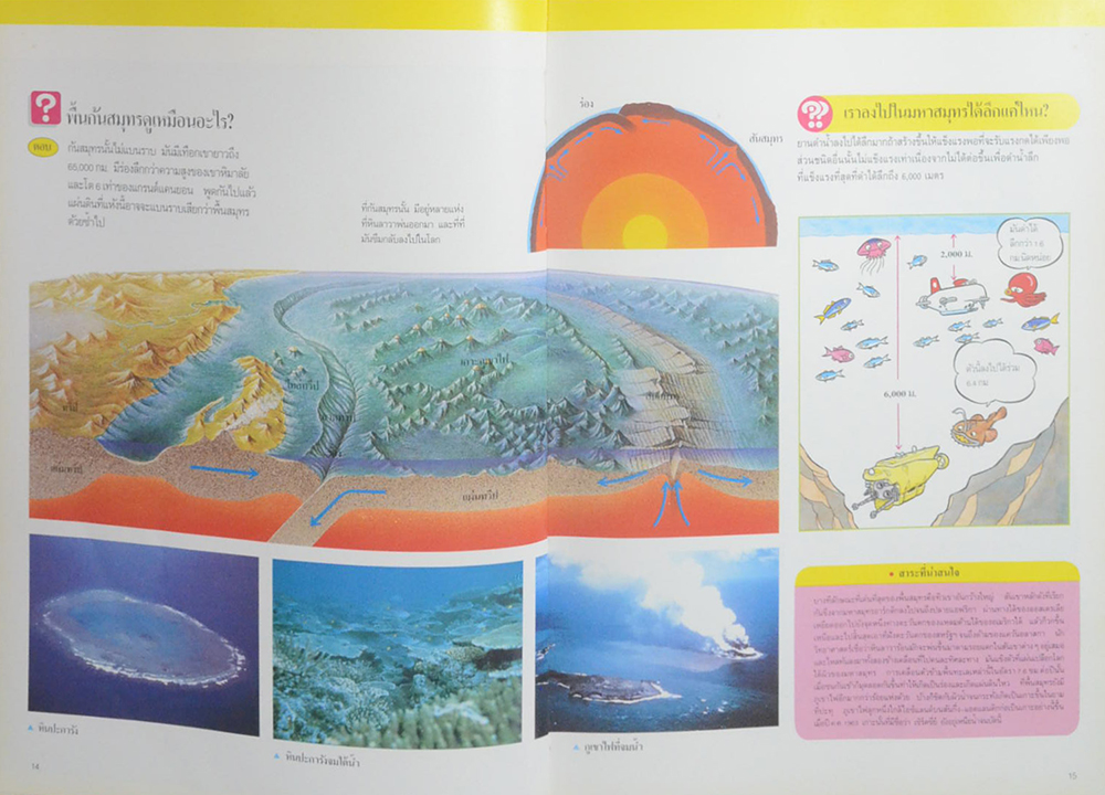 วิทยาศาสตร์เบื้องต้น