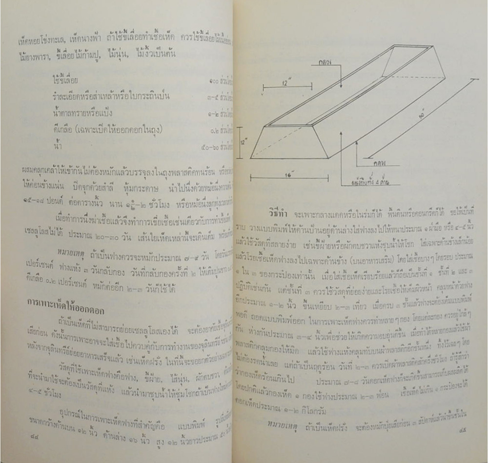 วิชัย ภักดีดินแดน (โครงการผังนครหลวง)