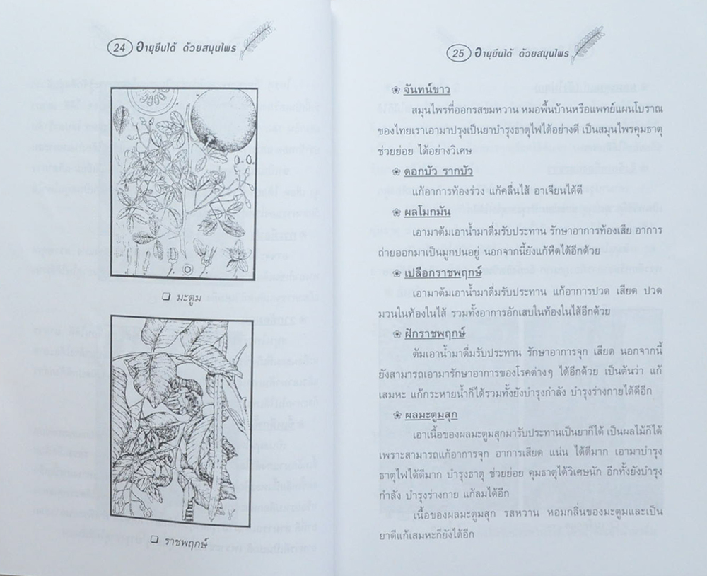 อายุยืนได้ด้วยสมุนไพร (ขายตามสภาพ)