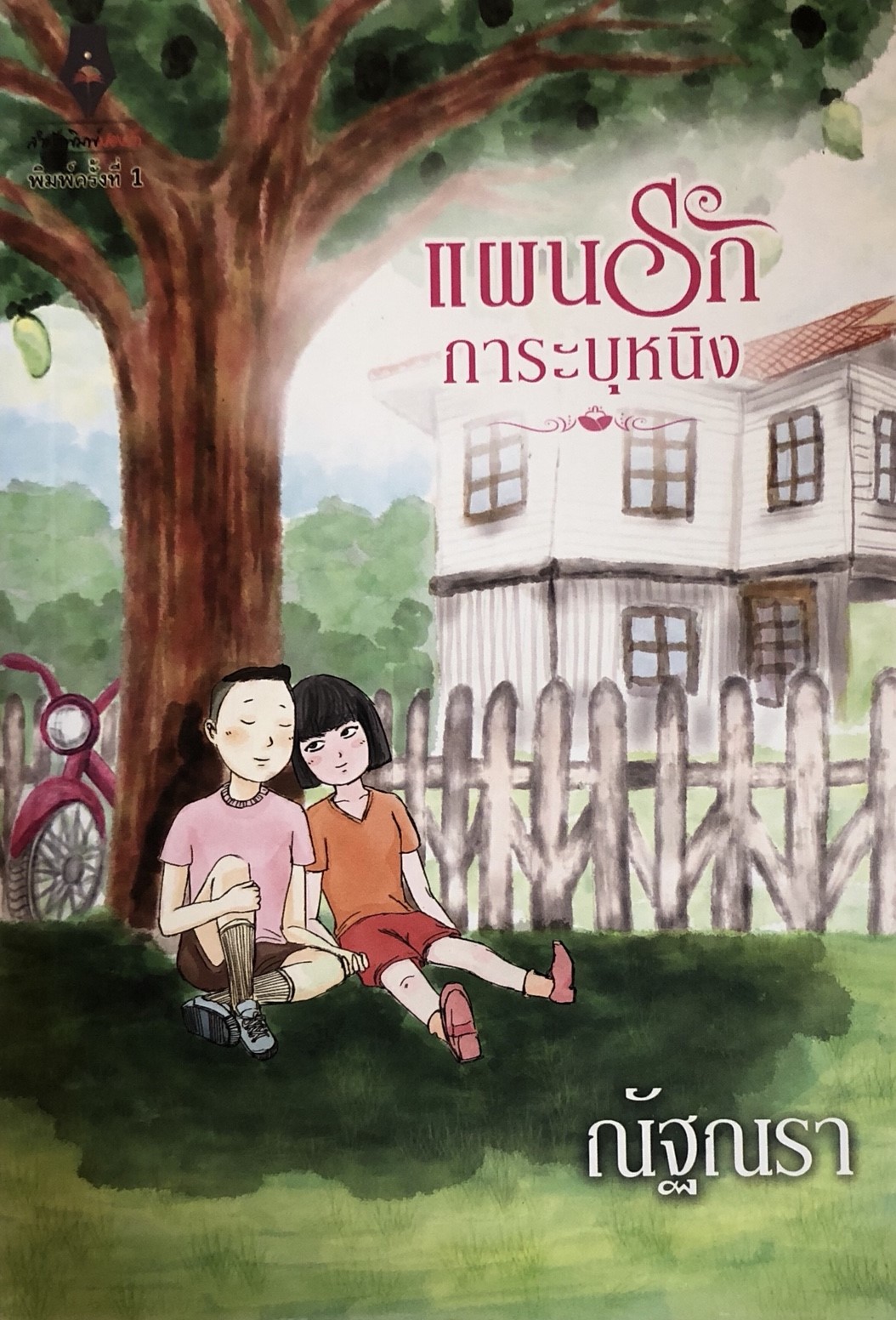 แผนรักการะบุหนิง