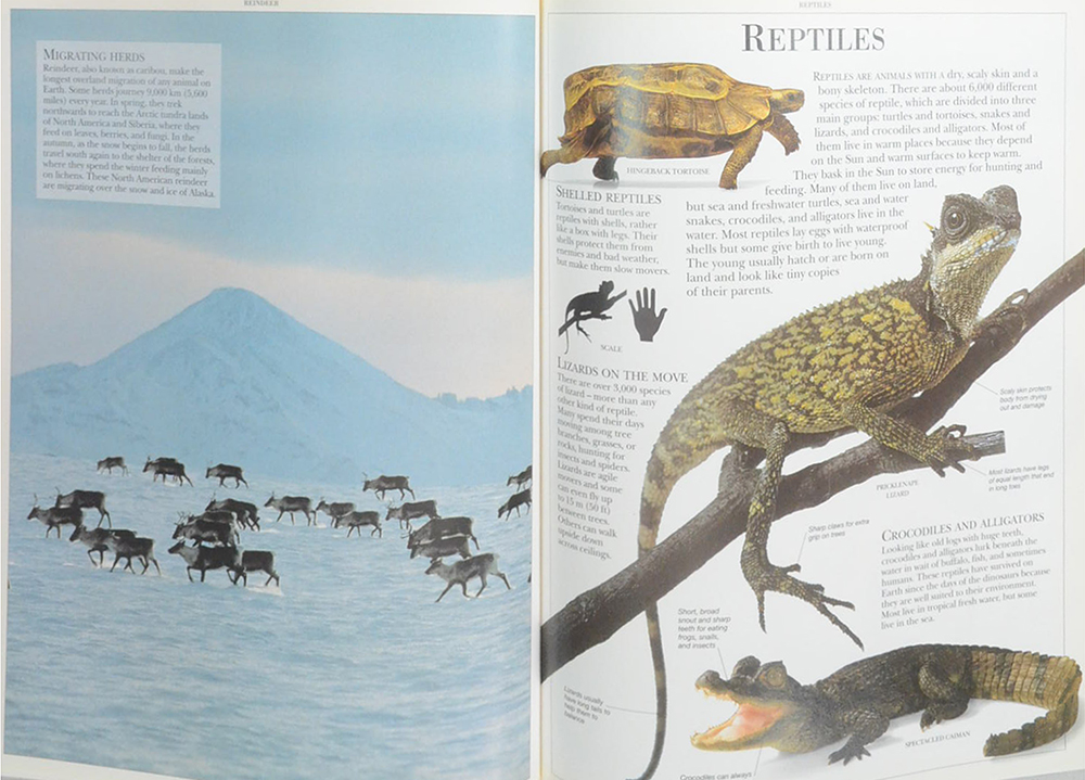 ANIMAL ENCYCLOPEDIA