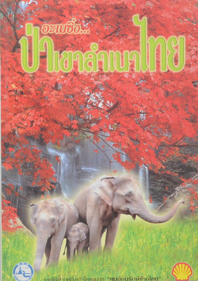 อะเมซิ่ง...ป่าเขาลำเนาไทย