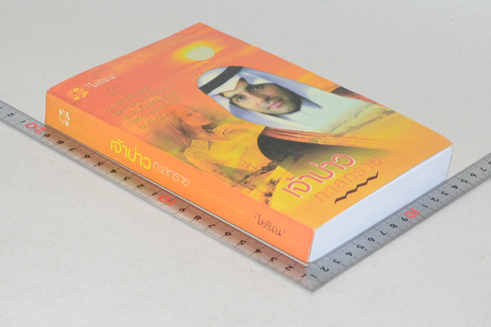 เจ้าบ่าวทะเลทราย (เล่มเดียวจบ)