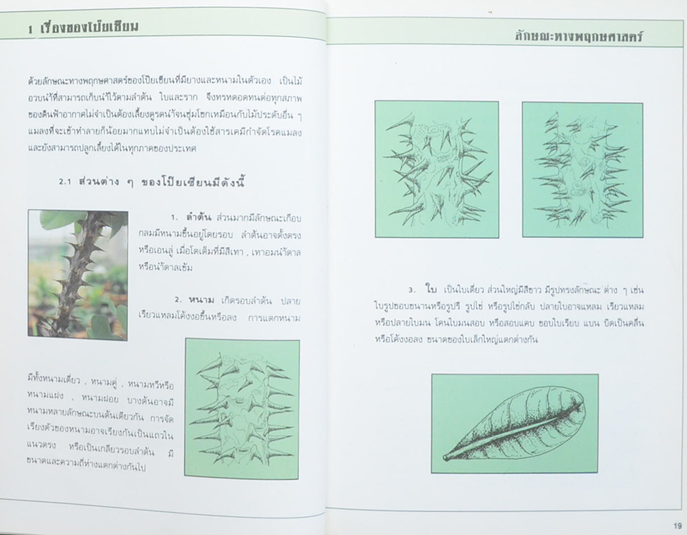 คู่มือโป๊ยเซียน (ขายตามสภาพ)