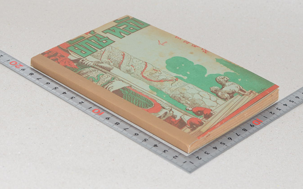 ยักษ์หลับ