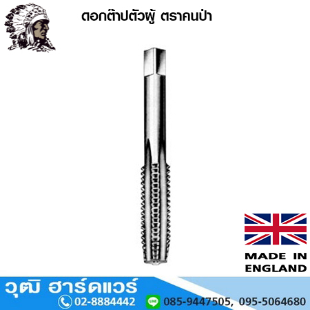 WARRIOR (ตราคนป่า) ดอกต๊าปตัวผู้ UNF (WRT-UNF)