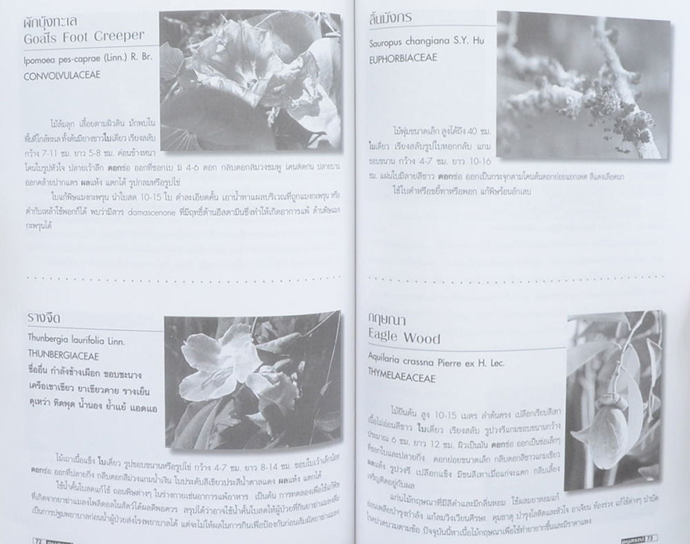 นายสรัญ มังคลัษเฐียร (เรื่องสมุนไพรไทยมรดกไทย)