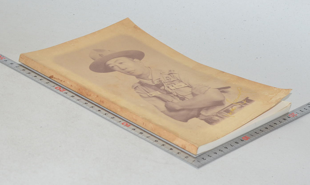 เพทาย อมาตยกุล (ประวัติลูกเสือชาวเขา)