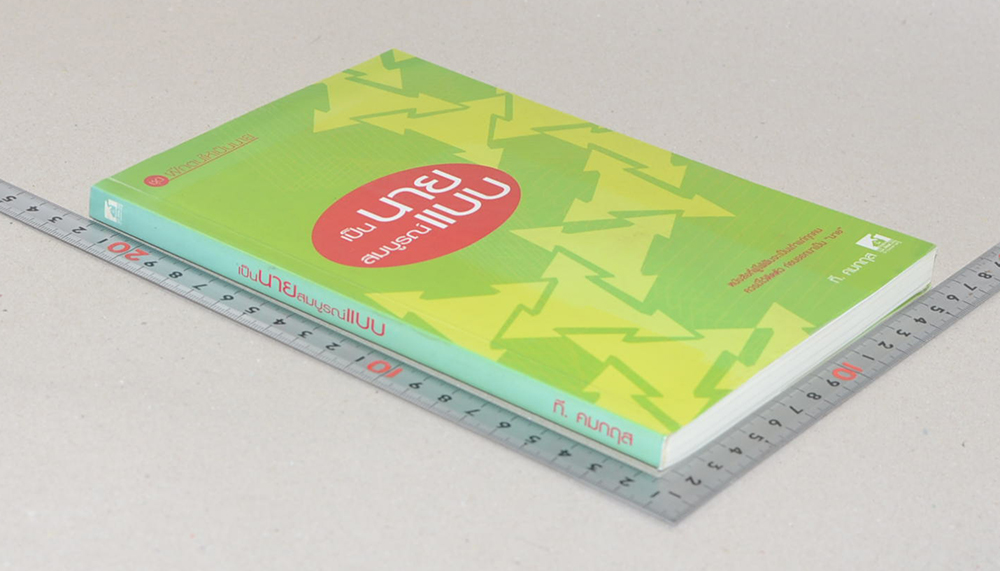 เป็นนายสมบูรณ์แบบ (ขายตามสภาพ)