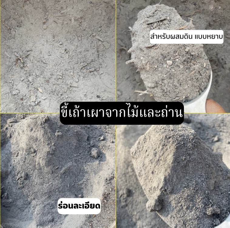 ขี้เถ้า (เผาจากไม้และถ่าน) ขี้เถ้าเกษตร ร่อนละเอียดและหยาบ