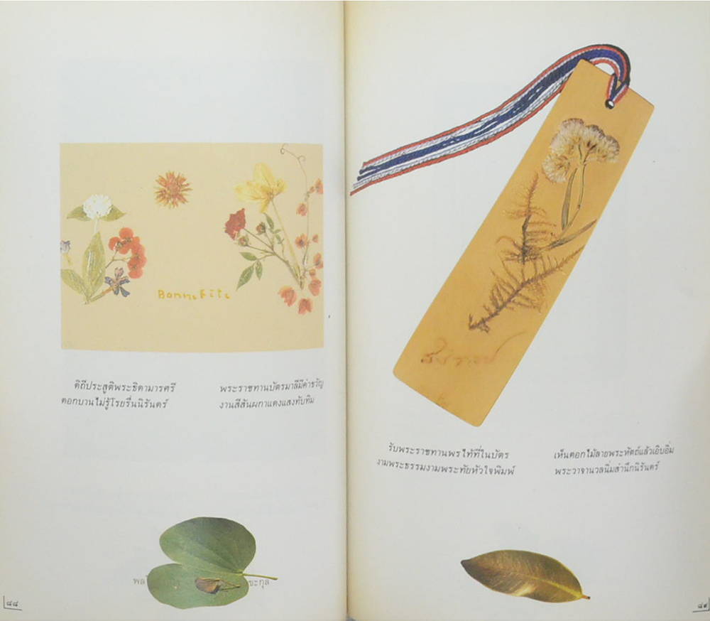 90 พรรษา แม่ฟ้าหลวง