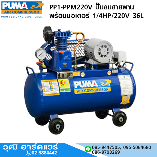 PUMA PP1-PPM220V ปั๊มลมสายพาน 1/4HP 36L+มอเตอร์ PUMA 1/4HP/220V