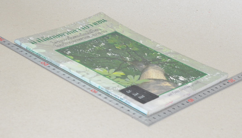 มิ่งไม้เกษตรกลางบางเขน (ขาตามสภาพ)