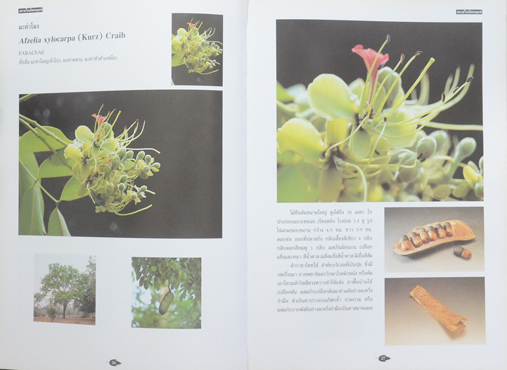 สยามไภษัชยพฤกษ์ ภูมิปัญญาของชาติ