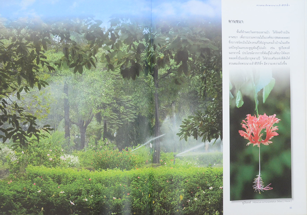 สวนสมเด็จพระนางเจ้าสิริกิติ์ฯ