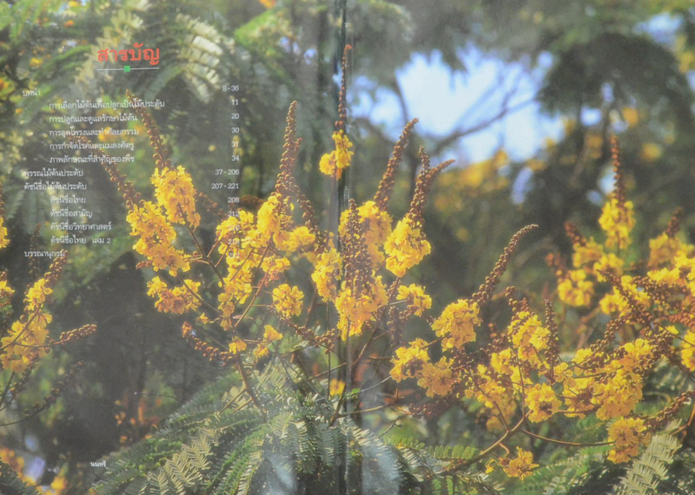 ไม้ต้นประดับ (เล่ม 1) (ขายตามสภาพ)