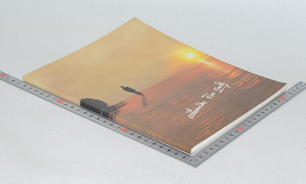 เหนือคาดคิด ชีวิต ชาญชัย