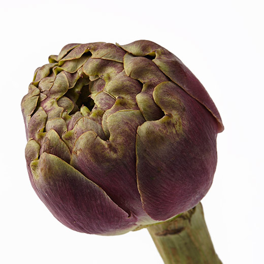 Vitanature plus ตรีผลา