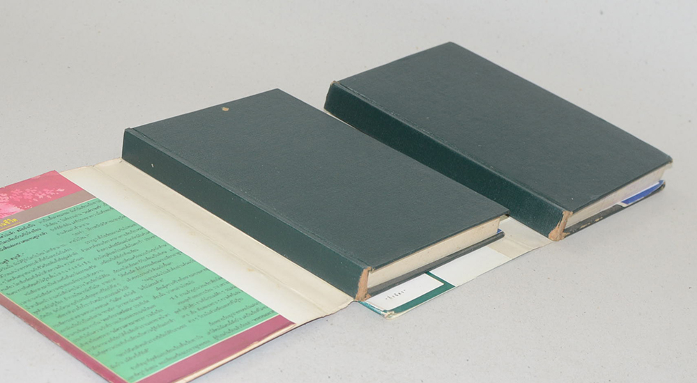 พรพรหมอลเวง (2 เล่มจบ)