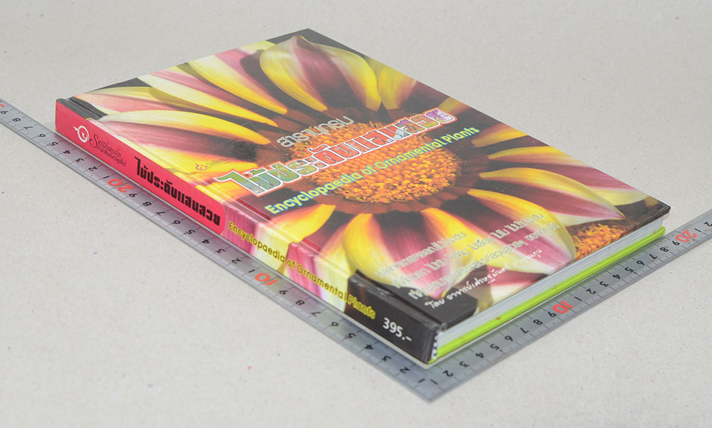 สารานุกรมไม้ประดับแสนสวย