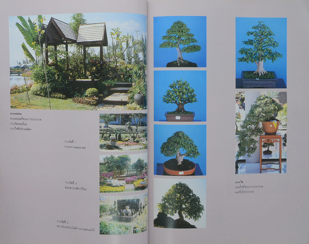 วันต้นไม้ประจำปีแห่งชาติ 2532