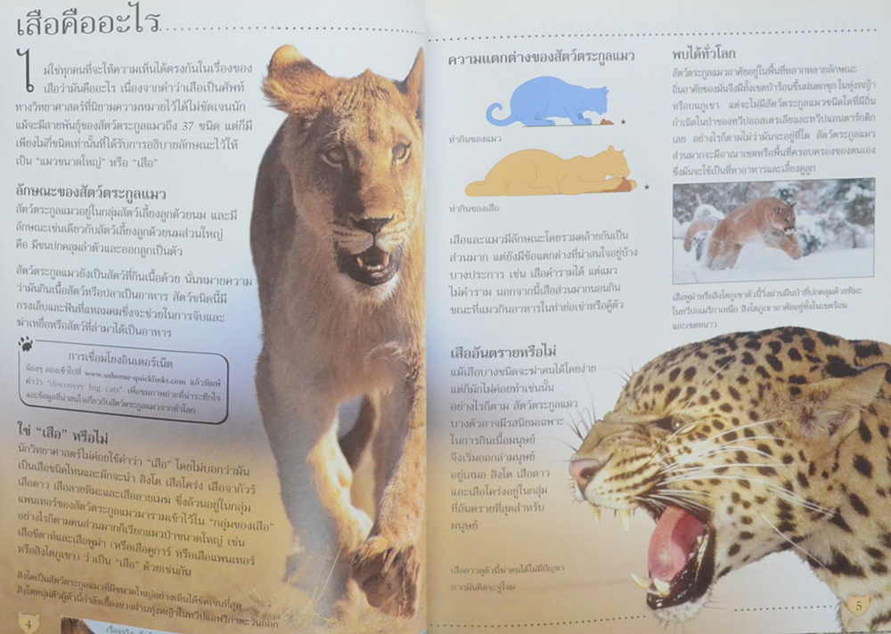 โลกของเสือ (ขายตามสภาพ)