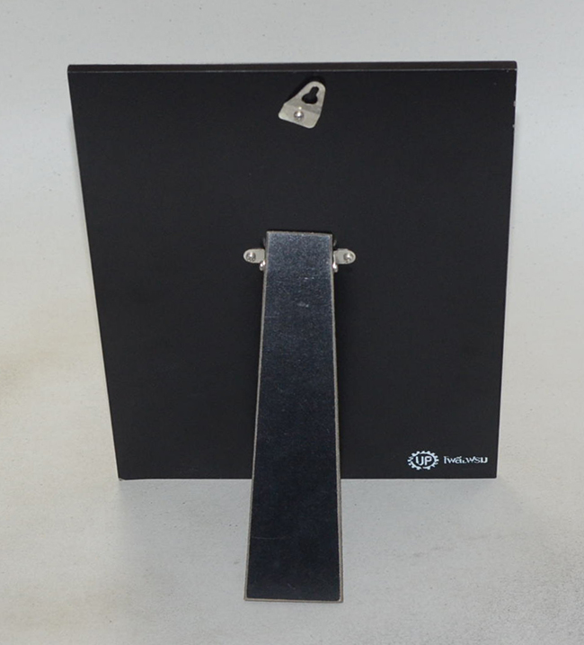 ถวัลย์ ดัชนี (ชีวประวัติ-ผลงาน / พร้อมภาพพิมพ์อัดกรอบ)