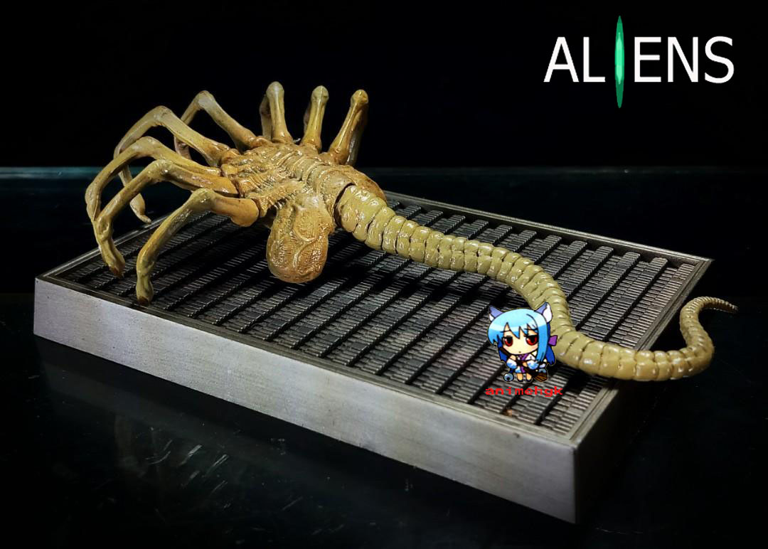 เอเลี่ยน เกาะหน้า Alien Xenomorph face hugger 1/6 พร้อมฐาน resin
