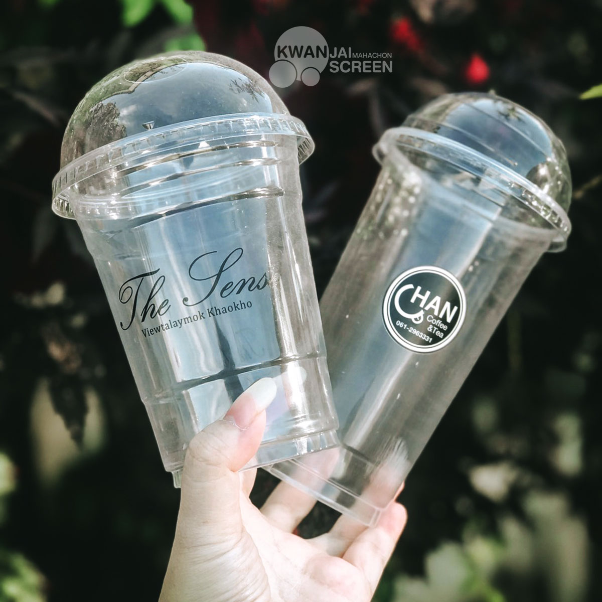 แก้วพลาสติก เนื้อ PP/PET