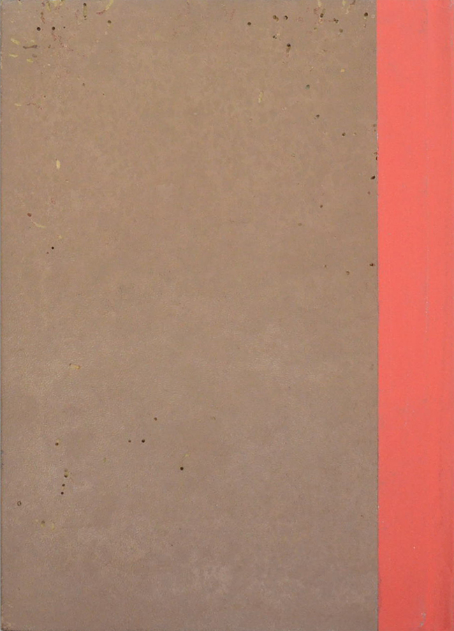 ปิศาจนิยาย (ขายตามสภาพ)