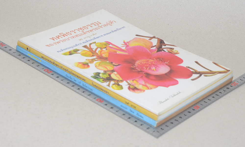 รวมเรื่อง (3 เล่ม)