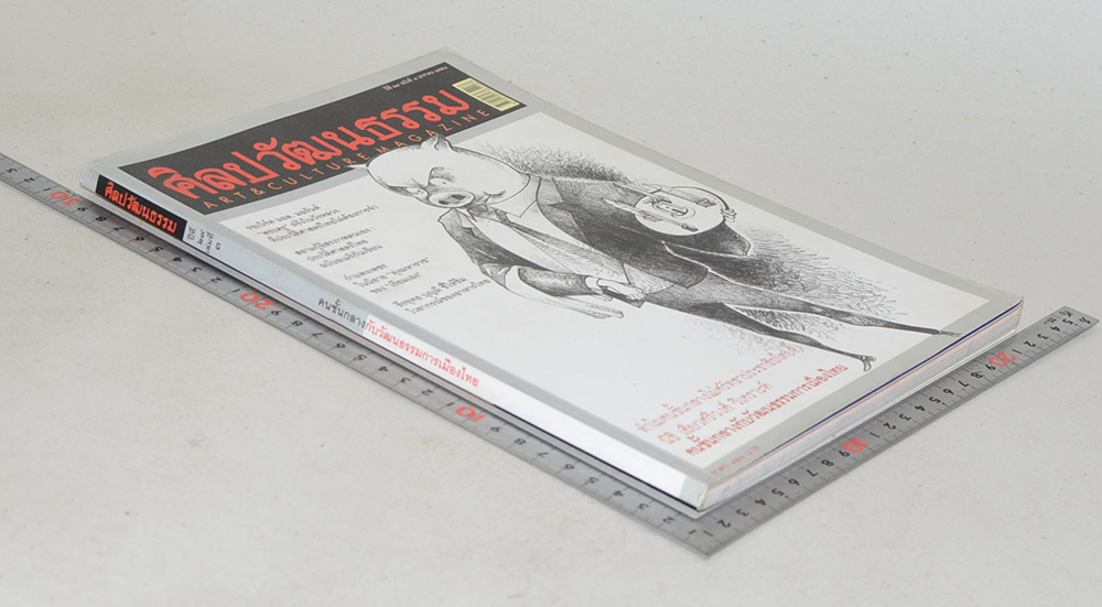 ศิลปวัฒนธรรม ปีที่ 29 ฉบับที่ 3 มกราคม 2551