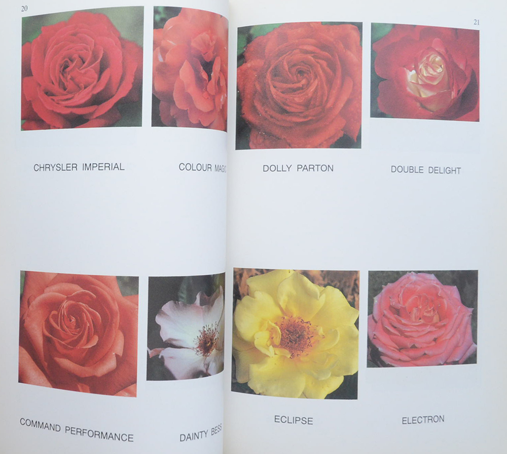 นางสุมนา ปัจฉิมสวัสดิ์ (กุหลาบ)