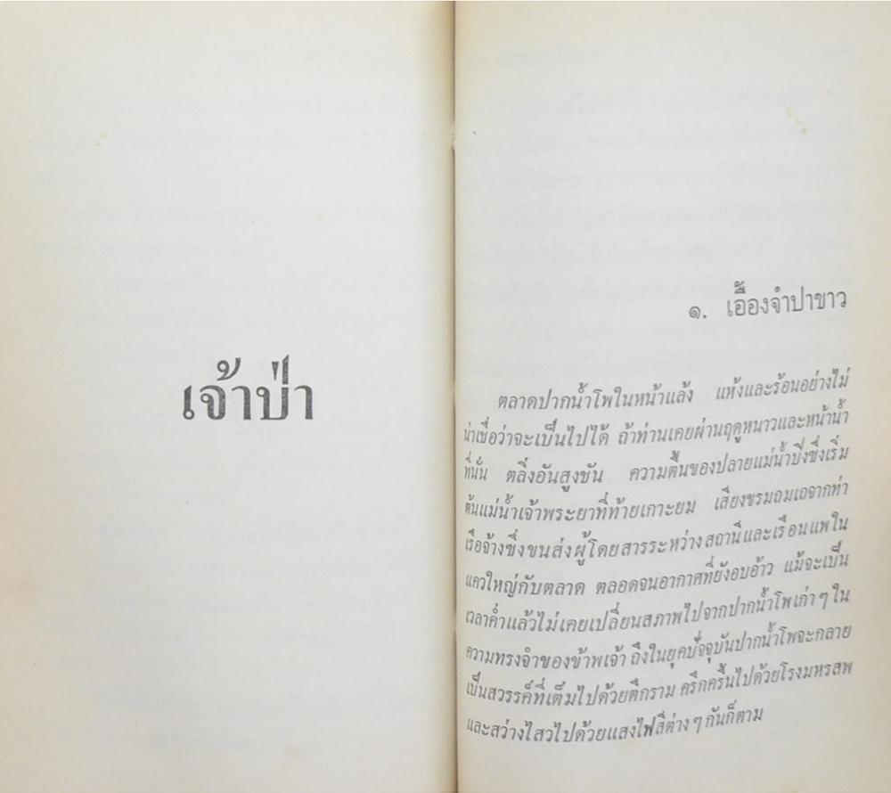 ล่องไพร (ชุด 4) (ขายตามสภาพ)