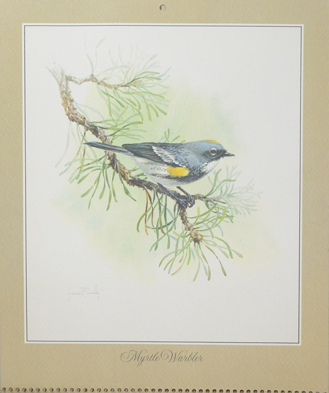 Birds of North America