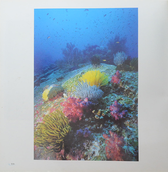 อันดามันและอ่าวไทย (ขายตามสภาพ)