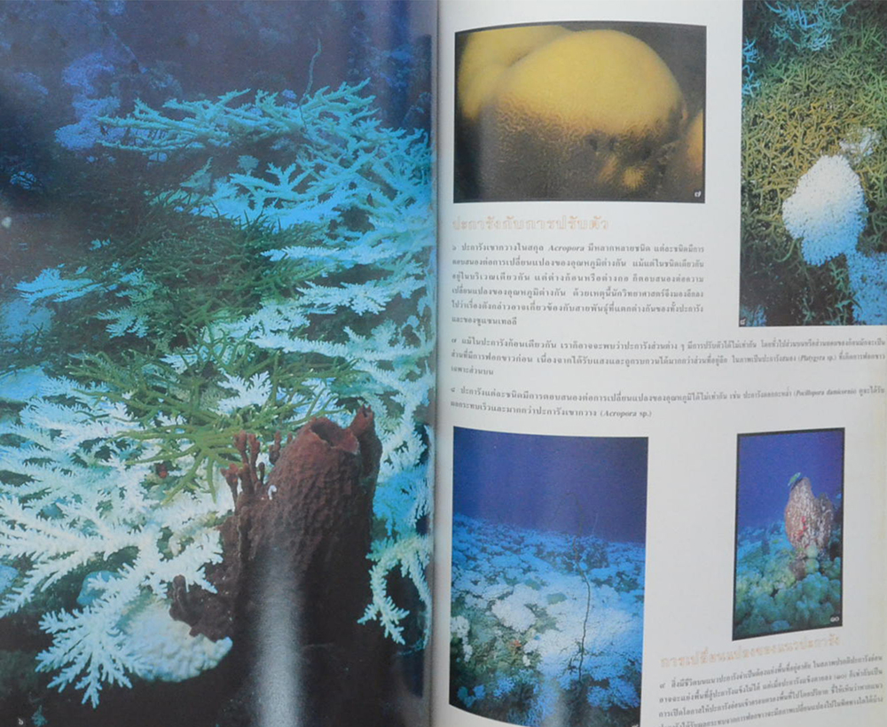สารคดี ปีที่ 14 ฉบับที่ 168 กุมภาพันธ์ 2542