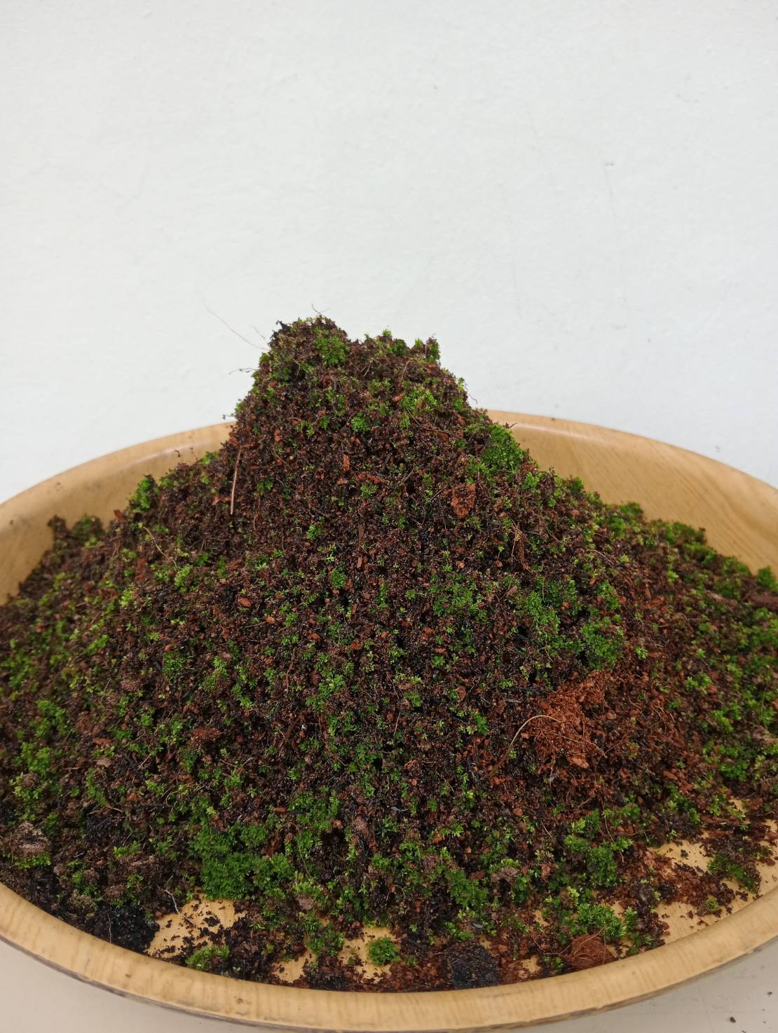 ดินร่วนพิเศษเนื้อละเอียด