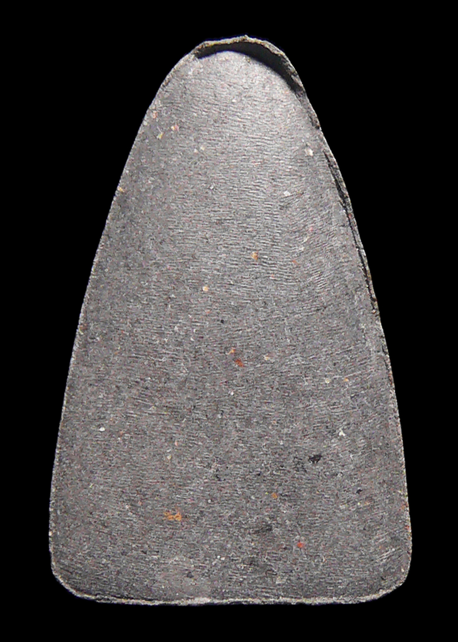 หลวงปู่ทวด อาจารย์นอง วัดทรายขาว เนื้อว่านพันปี ปี2534