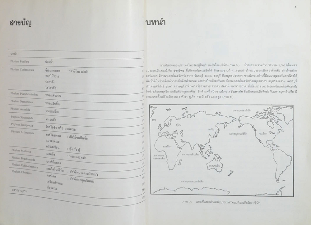 สัตว์ชายฝั่งทะเลไทย (ขายตามสภาพ)