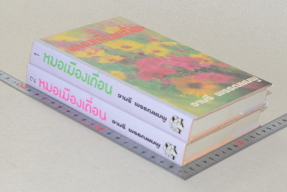 หมอเมืองเถื่อน (2 เล่มจบ)