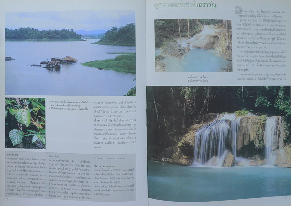 สมุนไพรในป่าฝน (เล่ม 1) (ขายตามสภาพ)