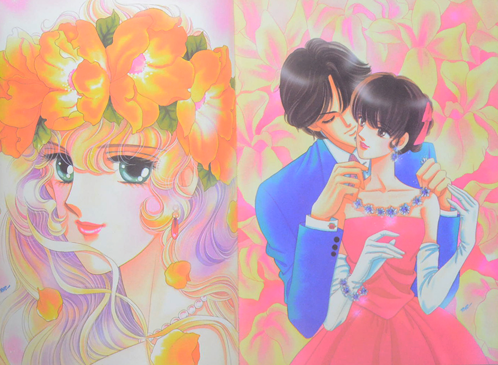 THE COLLECTION OF ILLUSTRATIONS