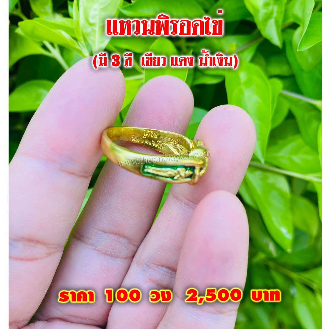 แหวนพิรอดไข่ (จำหน่ายราคาส่งขั้นต่ำ 100 ชิ้น) 2,500 บาท เฉลี่ยชิ้นละ 25 บาท