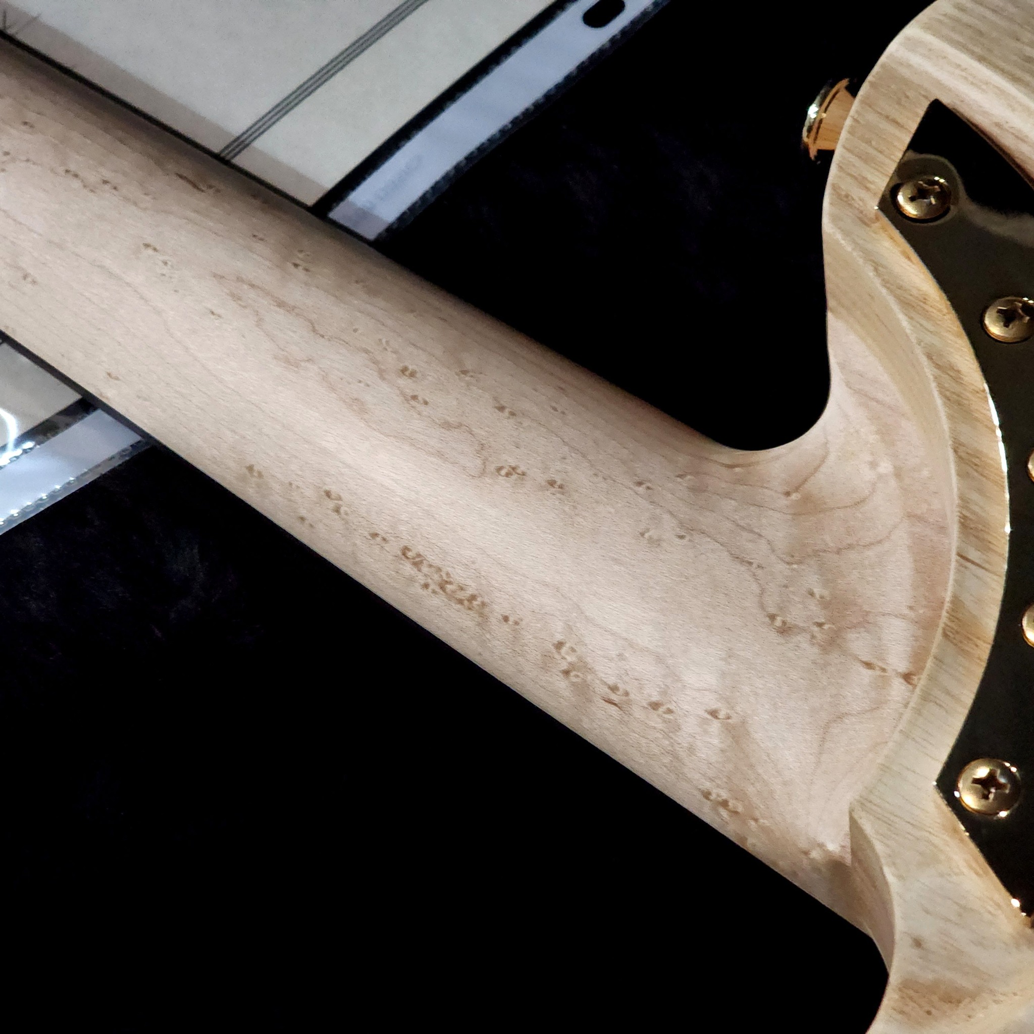 (BRAND NEW) WASHBURN NELE DELUXE USA NUNO BETTENCOURT
