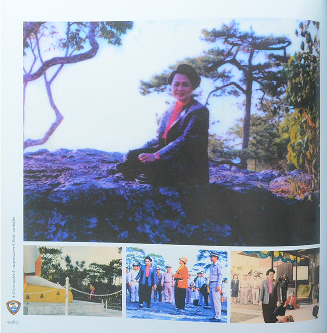 อุทยานแห่งชาติ ใต้ร่มพระบารมีจักรีภูมิพล (ขายตามสภาพ)