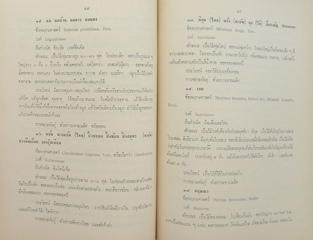 สิทธิเทศานนท์ (เรื่องต้นไม้ในวรรณคดี)